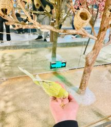 -酷嗒动物文化乐园(cutezoo西溪乐天城店)