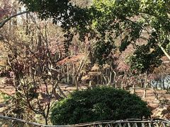 -秋霞圃