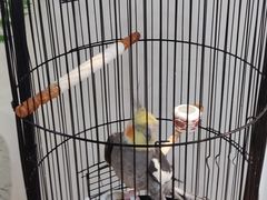 -阜昌典当行(阜成门店)