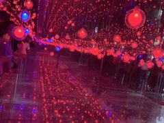 -成都失恋馆