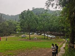 -南宁良凤江国家森林公园