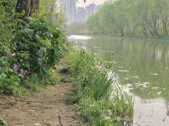 -新江湾城公园