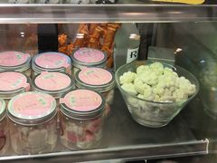 -猫咪博物馆(顶澳仔猫街店)