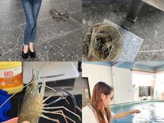 -SHRIMP CLUB万东餐饮钓虾·清吧