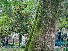 -绍兴鲁迅故里·沈园景区