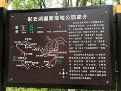 -重庆彩云湖湿地公园