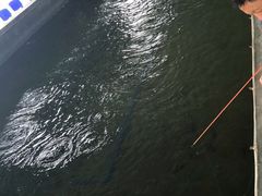 -会江钓鱼钓虾烧烤场