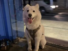 -OZ cafe(南昌路店)