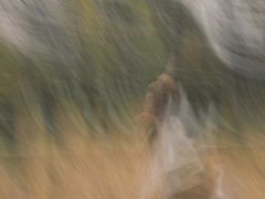 -艾溪湖湿地公园