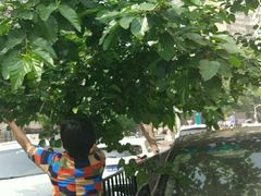 -中国建设银行(北京东直门支行)