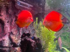 -上海海洋水族馆