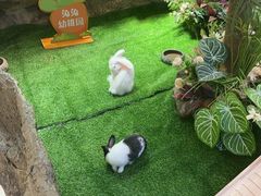 -赛格国际购物中心(小寨店)