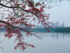 -松山湖风景区松湖烟雨