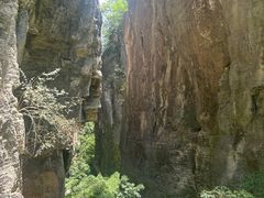 -蝶舞清江·恩施云顶景区(黄鹤峰林)