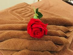 -宫七SPA·高端Massage(浦东大道店)