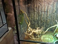 -zoonana室内动物园(东方福来德店)