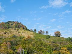 -大余丫山旅游度假区