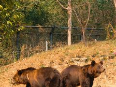 -北京野生动物园