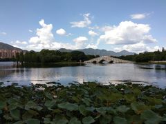 -飞来湖湿地公园