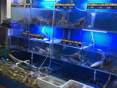 水产区-金龙·打边炉(武进路店)