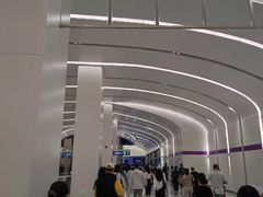 -望京西(地铁站)