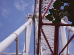 -哈尔滨文化公园