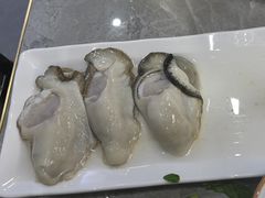 -濠轩阁特色生蚝火锅(水湾路店)