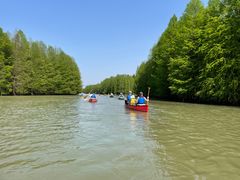 -上海海湾国家森林公园