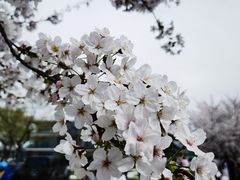 -龙美术馆(西岸馆)