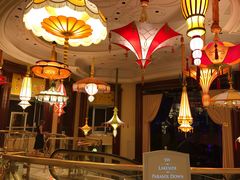 -拉斯维加斯永利酒店