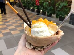-野人先生现做冰淇淋(西安赛格店)