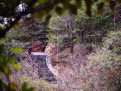 -羚羊峡古栈道森林公园