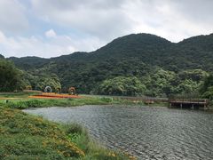 -广州市石门国家森林公园