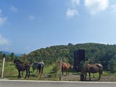 -灵山