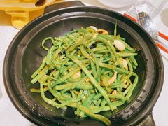 -楚畹园