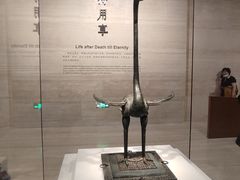 -湖北省博物馆