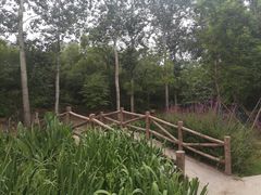 -白水寺森林公园