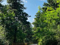 -萨尔浒风景区