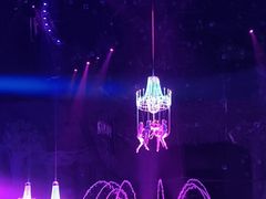 -广州长隆国际大马戏