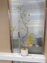 -杜卡诗salon