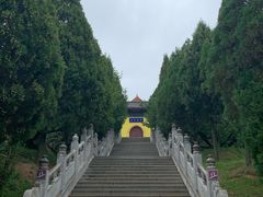 -龙口南山旅游景区