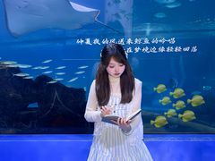-重庆欢乐海底世界