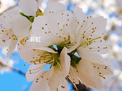 -三里河公园