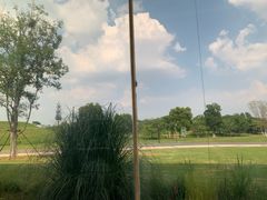 -盘龙城遗址博物院