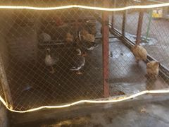 -鱼窝棚柴火铁锅炖(富山屯店)