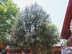 -嵩山少林文化旅游景区