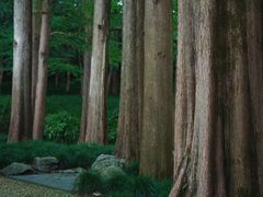 -杭州植物园
