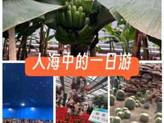 -长春农业博览园
