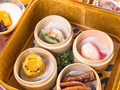 -广州都市观光巴士(粤陶巴)