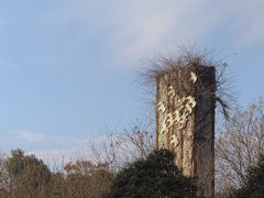 -杭州城北体育公园